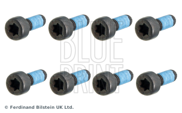 Sada skrutiek zotrvačníka Blueprint - Ferdinand Bilstein UK Co.Ltd