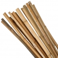 Tyč Garden KBT 0600/06-08 mm, 10 ks, bambus